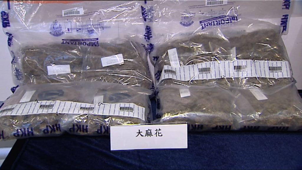 警方指嚴重大麻案件上升四成四
