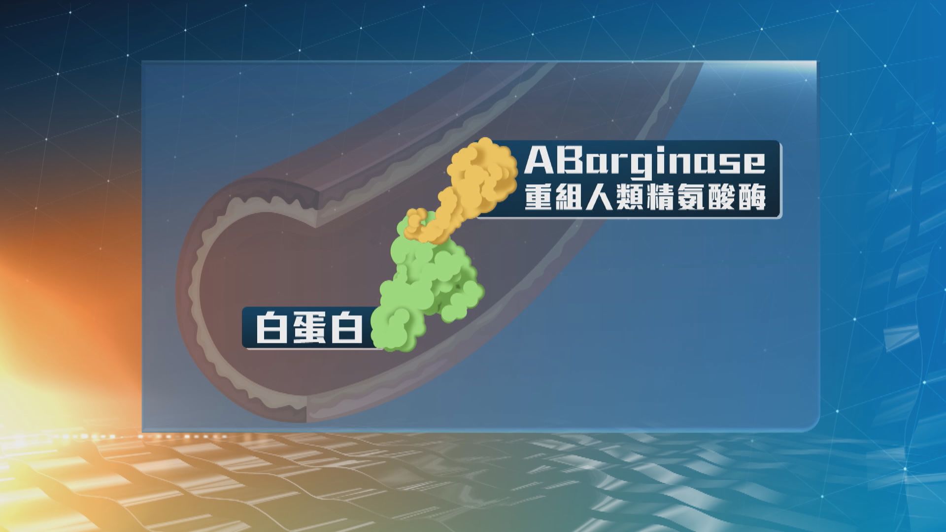 理大中大合作研發新藥 可同時治療二型糖尿病及非酒精性脂肪肝