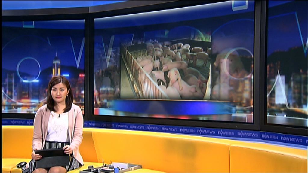 食衞局：漁護署有按程序作通報