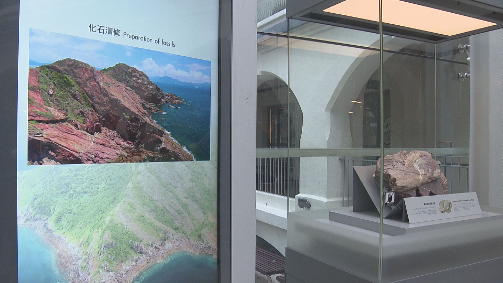 赤洲發現多塊恐龍化石　古生物工作者稱可研究本港會否曾有多於一種恐龍