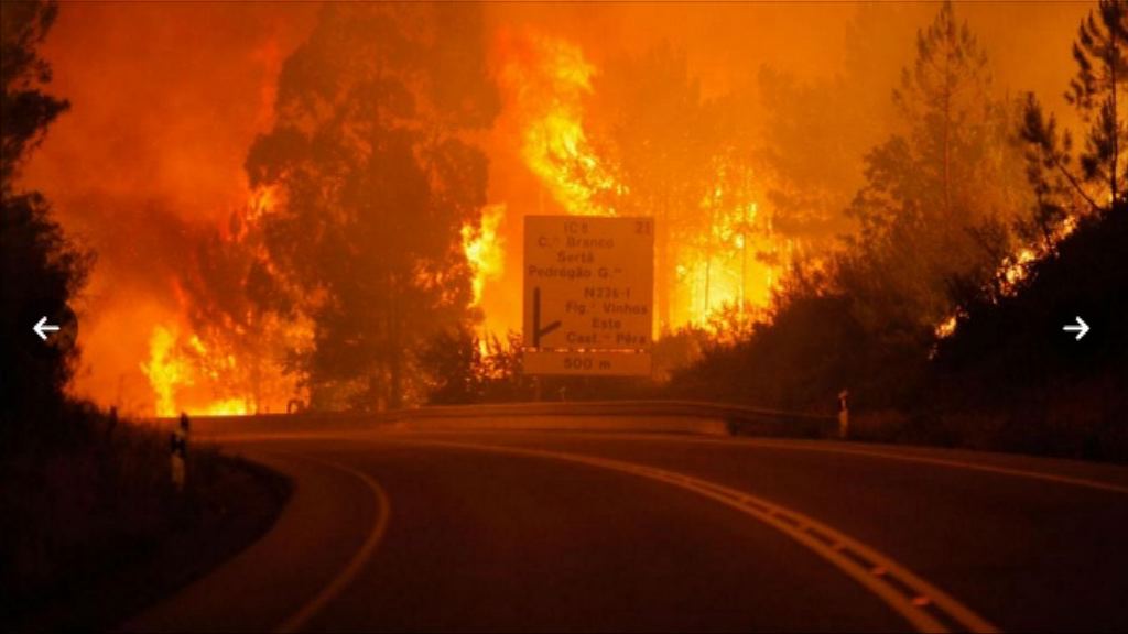 葡萄牙中部嚴重山火逾百死傷