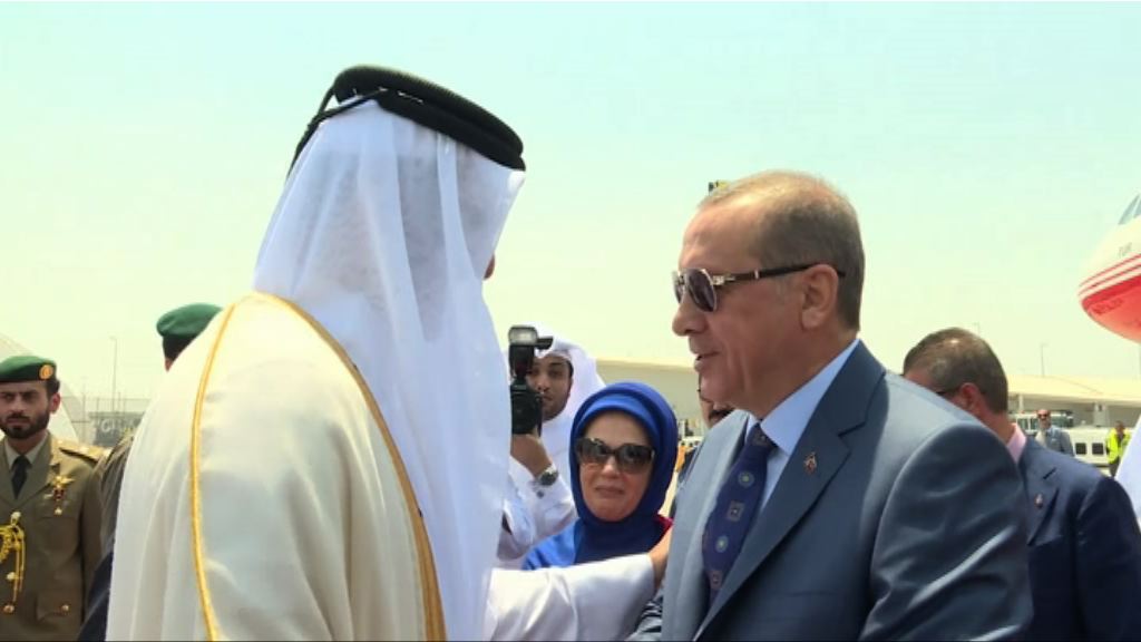 土耳其總統斡旋卡塔爾斷交風波未有成果