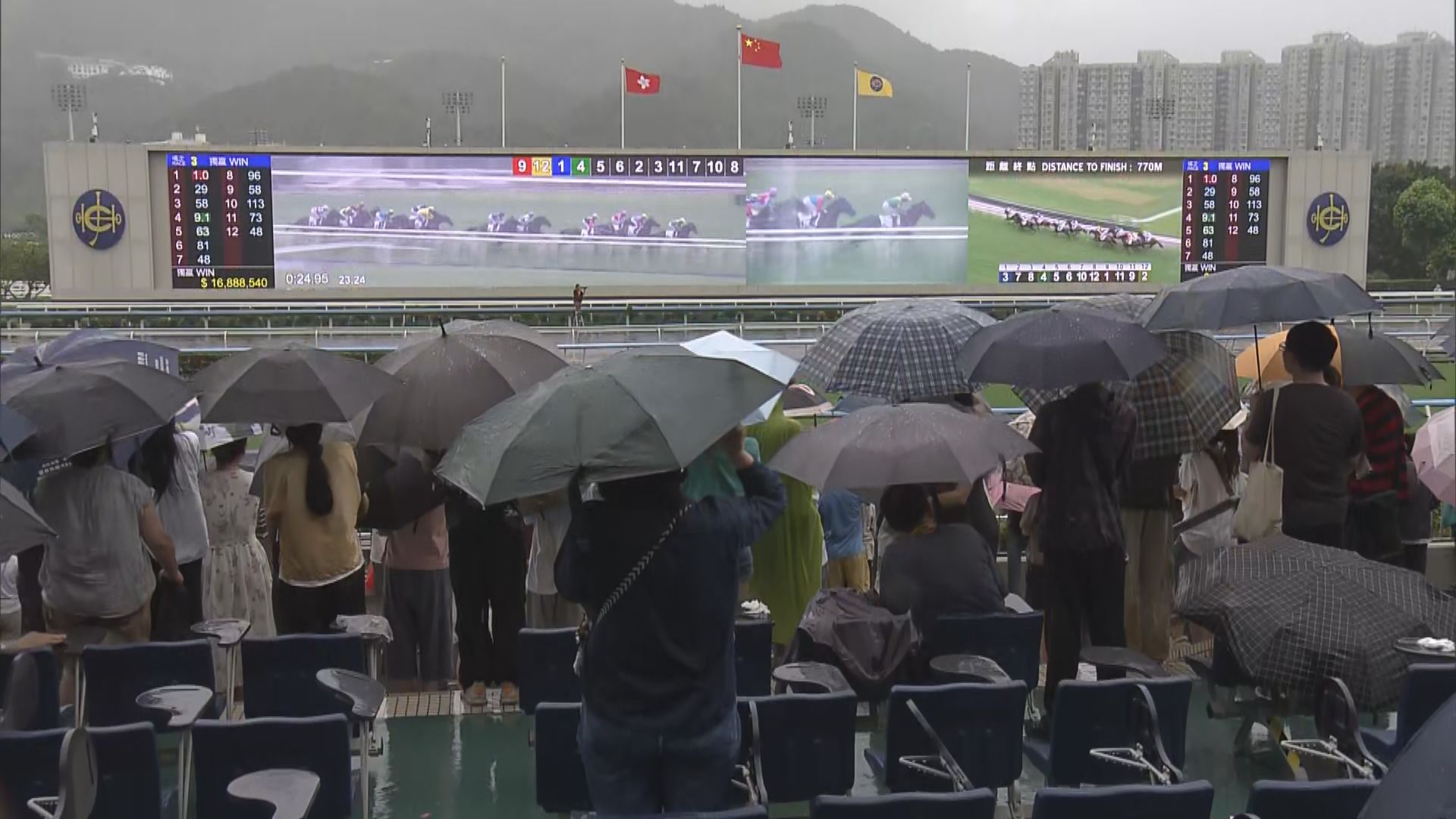 馬季開鑼日天氣欠佳　無阻馬迷熱情