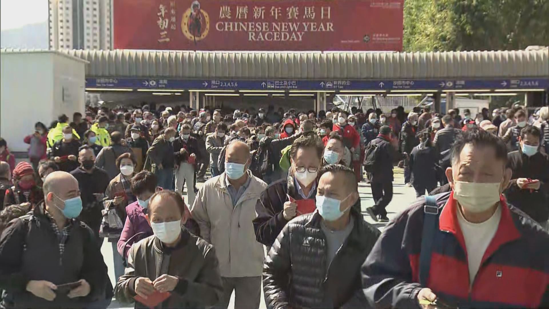 年初三賀歲馬吸引大批馬迷入場