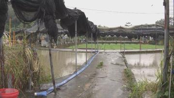 300公頃農地及部分漁船受雨災影響　農戶漁民可申請緊急救援基金