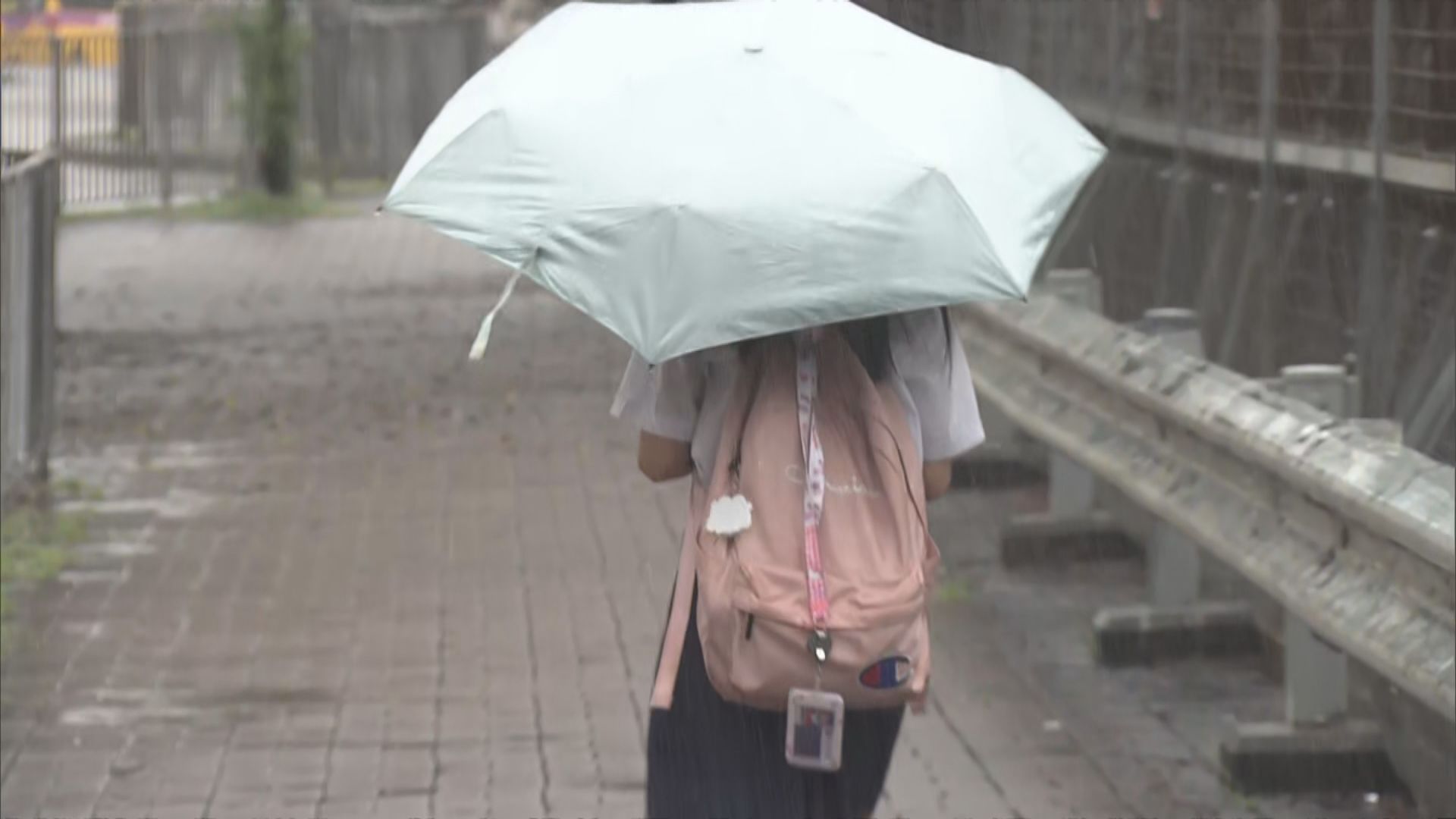 上午校及全日制學校停課 暴雨下多區水浸