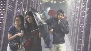天文台三度發出黃色暴雨警告