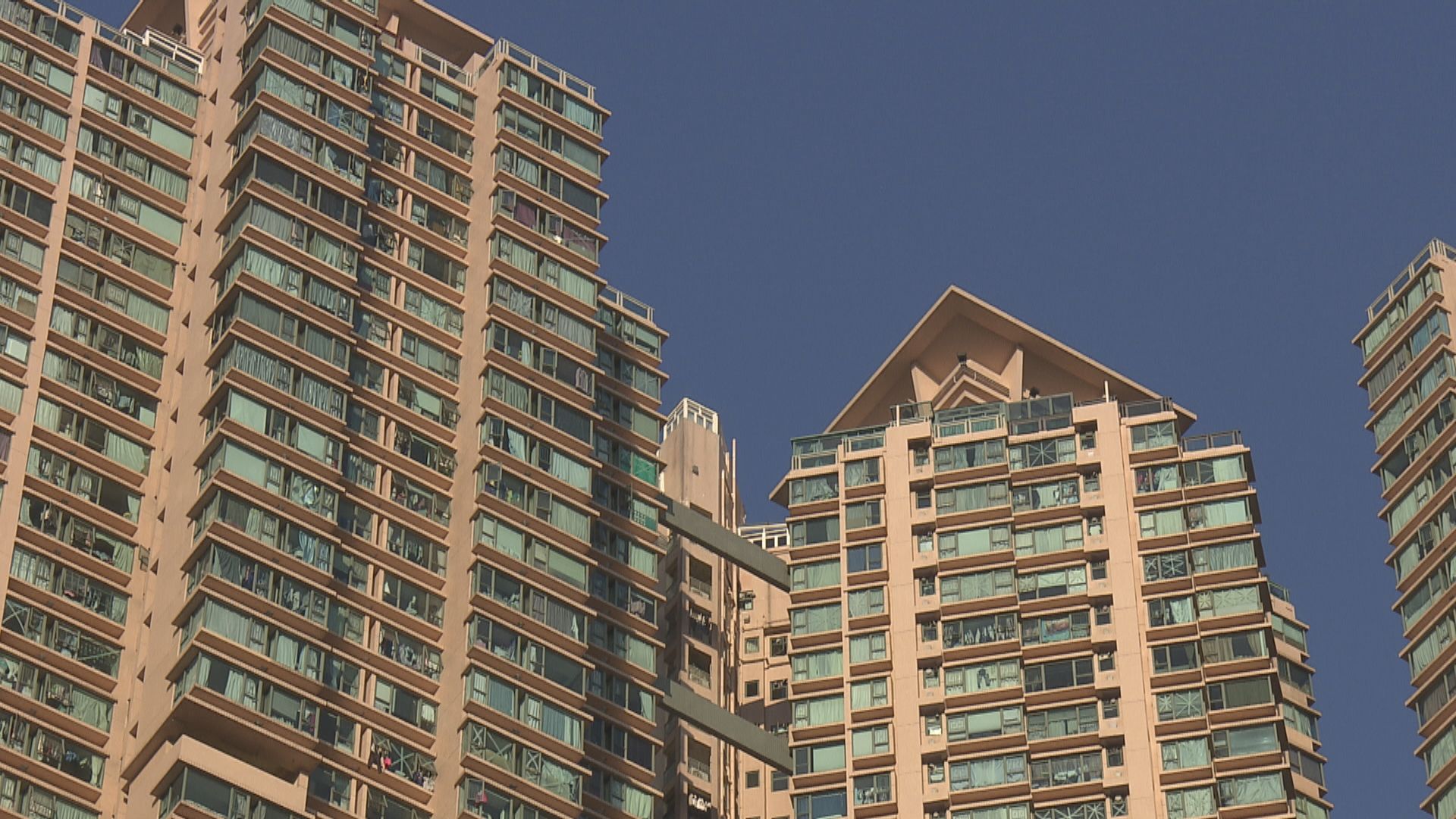 有學者認為檢討差餉制度可望擴闊政府收入來源