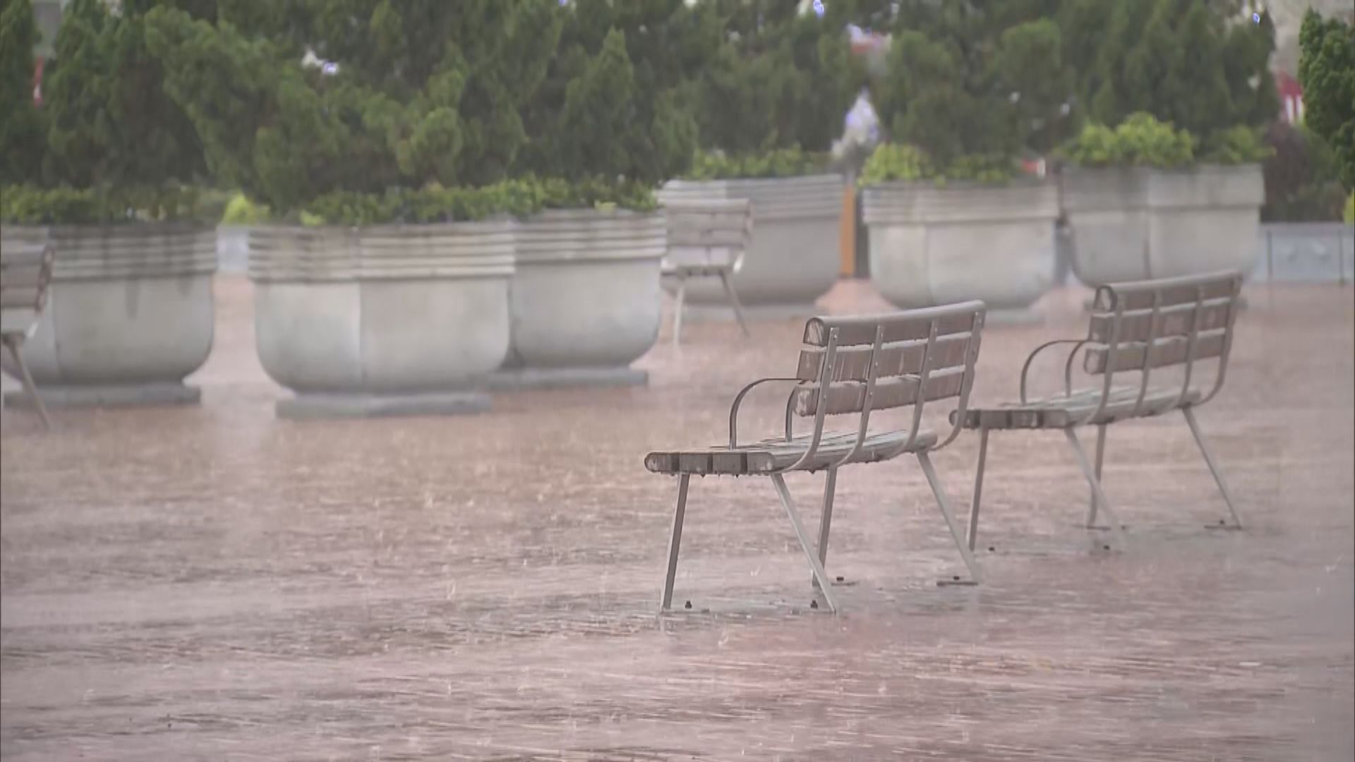 天文台發出今年首個紅雨警告　教育局宣布夜校停課