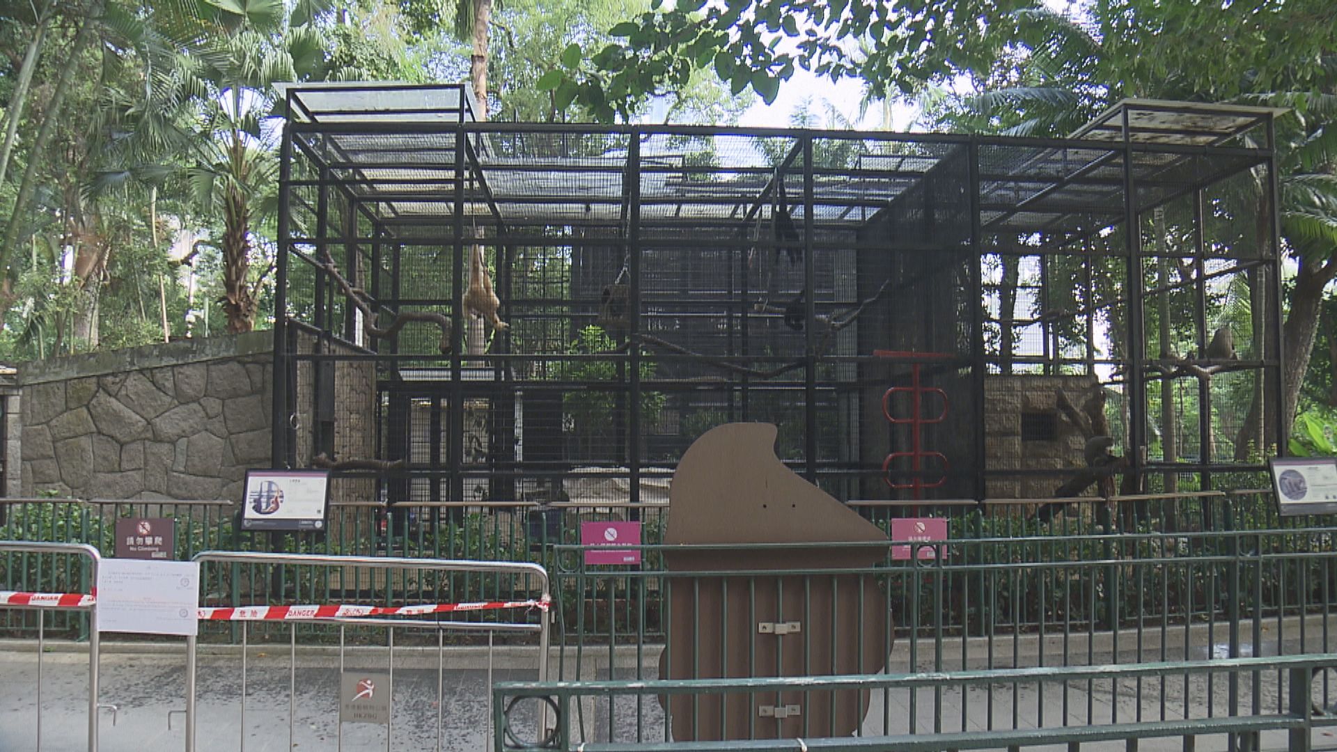 香港動植物公園哺乳類動物區周五重開