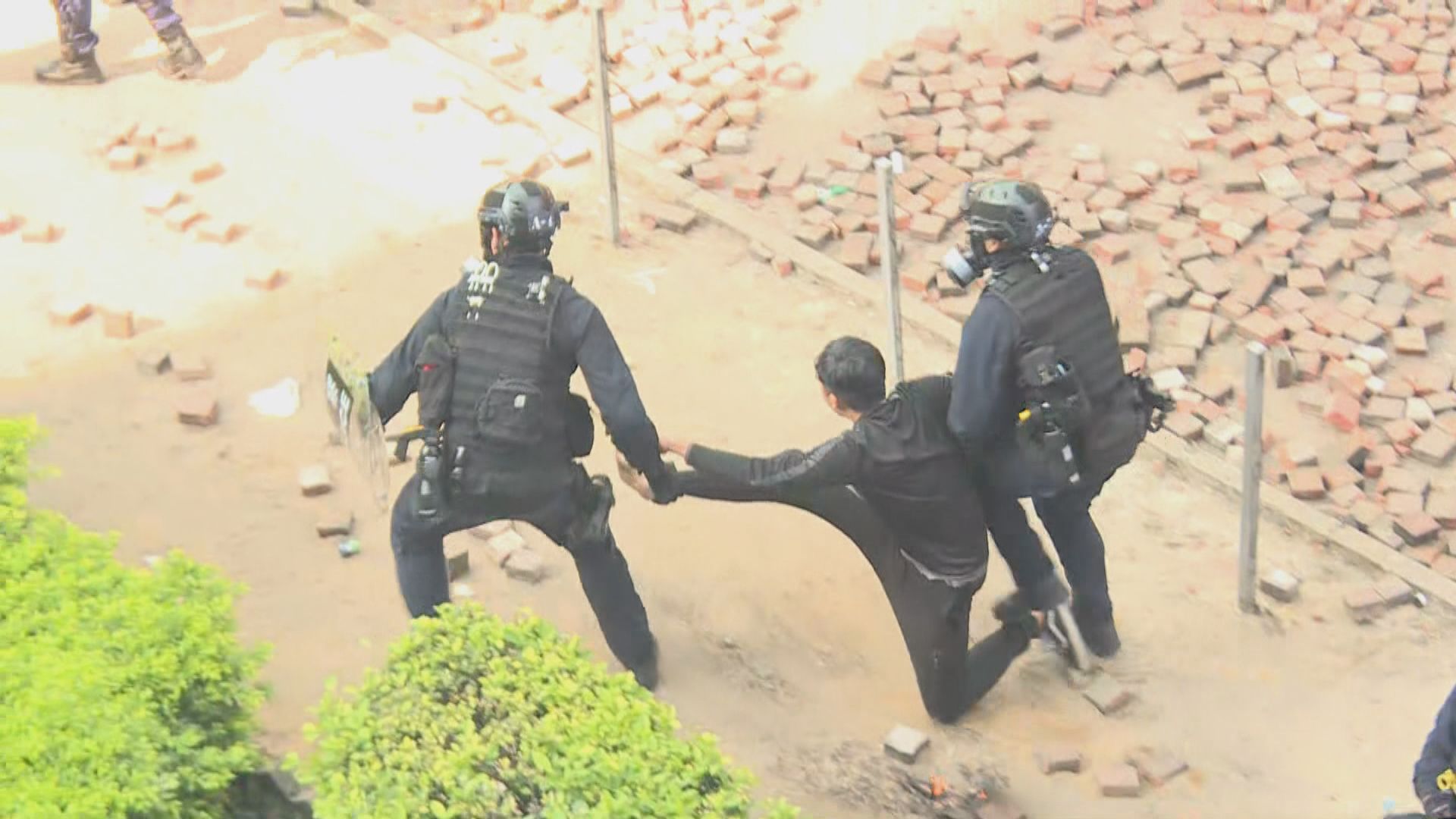 調查：示威者不滿警方執法而上街　非因支持港獨