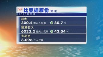 比亞迪股份去年多賺近81%