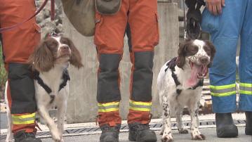 消防搜救犬兩度參與地震搜救任務　汲取經驗加強訓練適應干擾環境