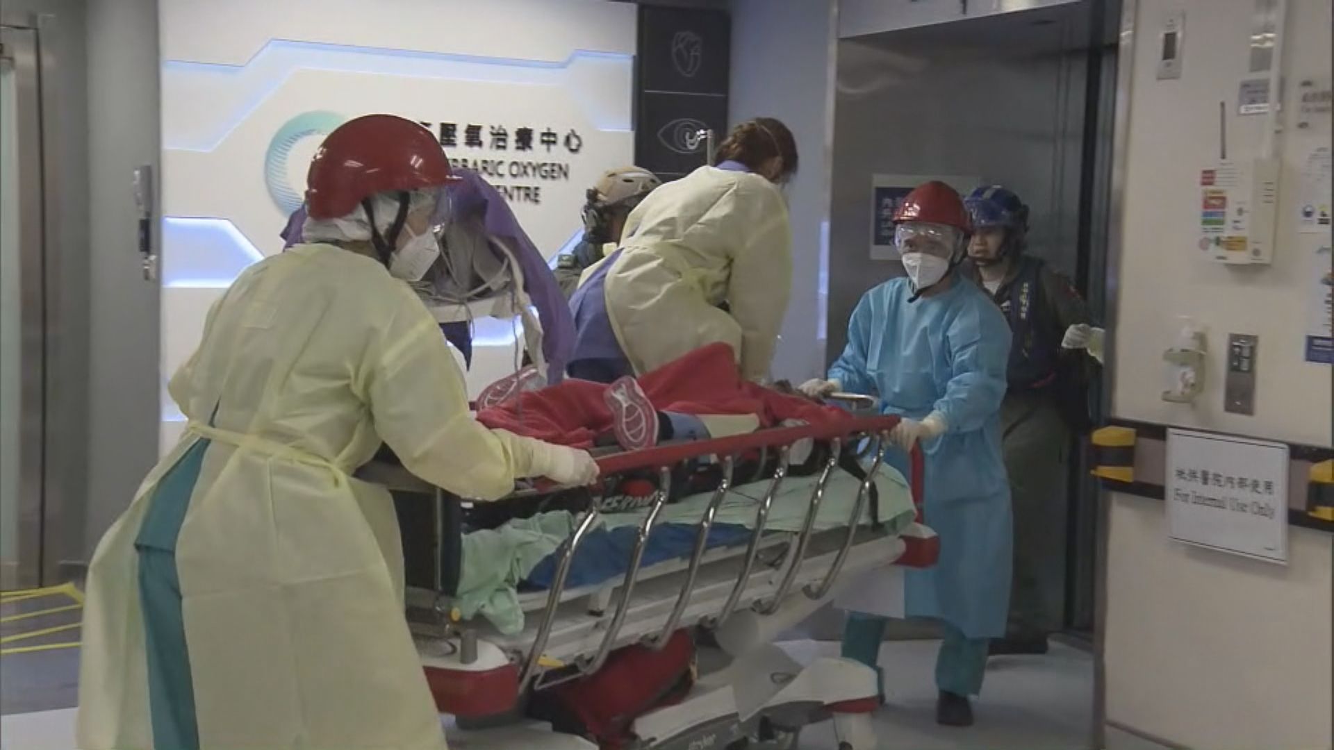 大嶼山漁護署職員被蜂螫昏迷送院