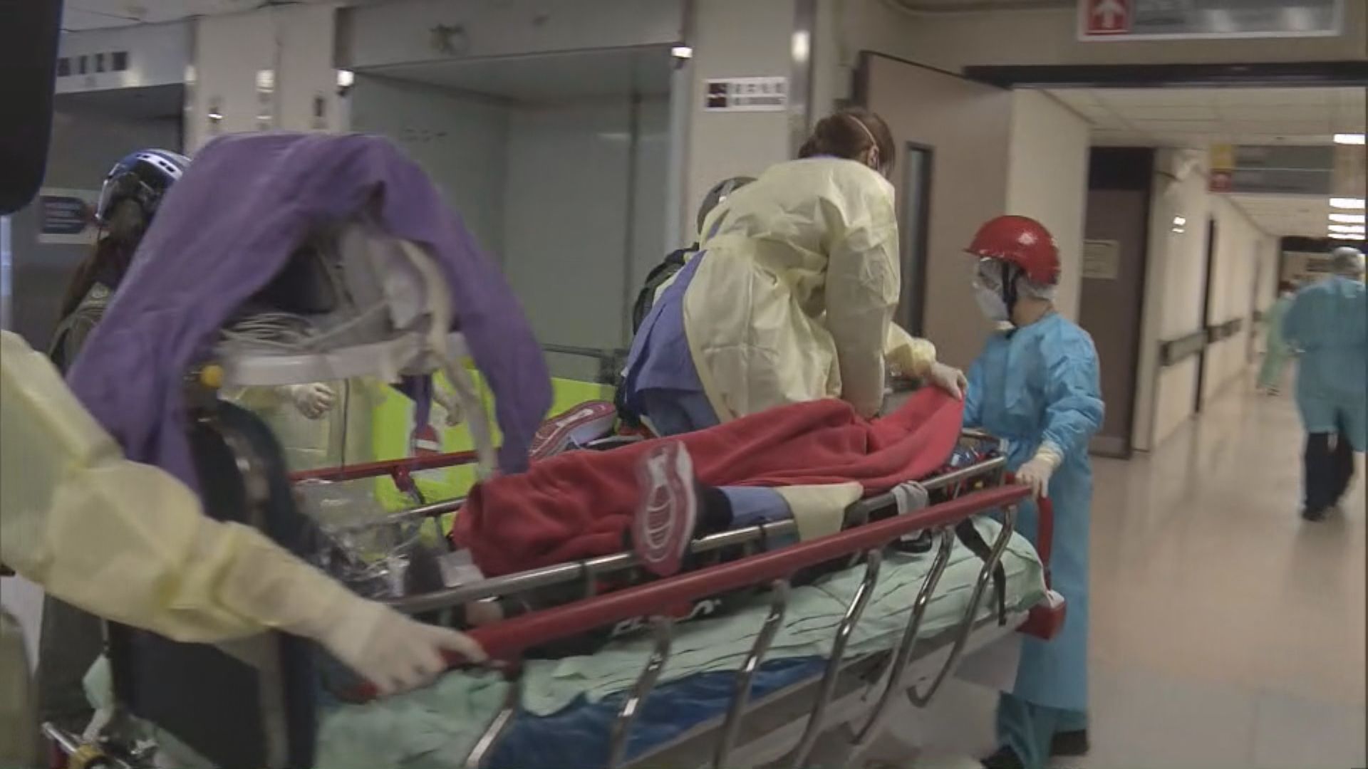 大嶼山漁護署職員遇蜂螫 送院不治