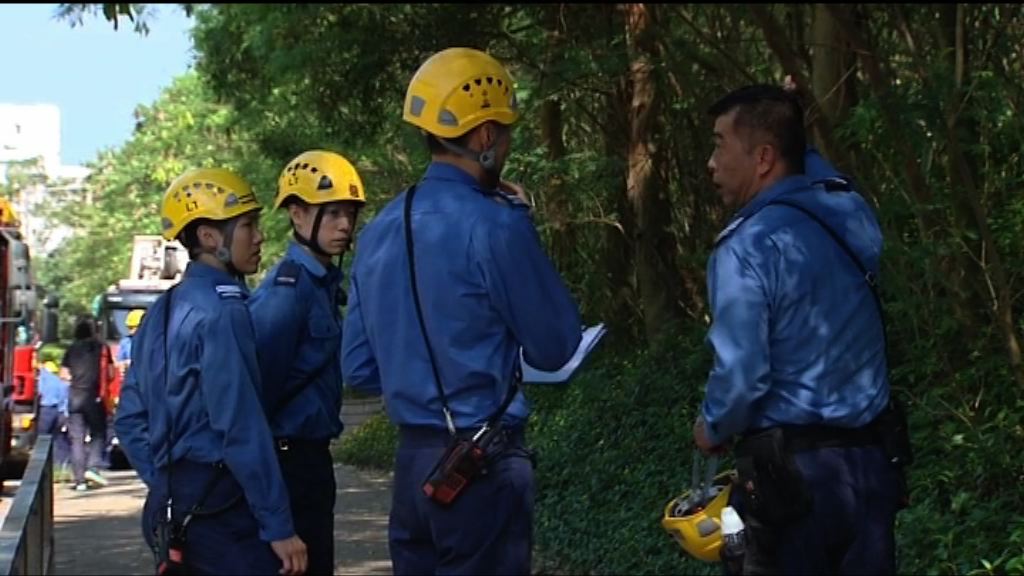 消防早上尋回行山失蹤男子