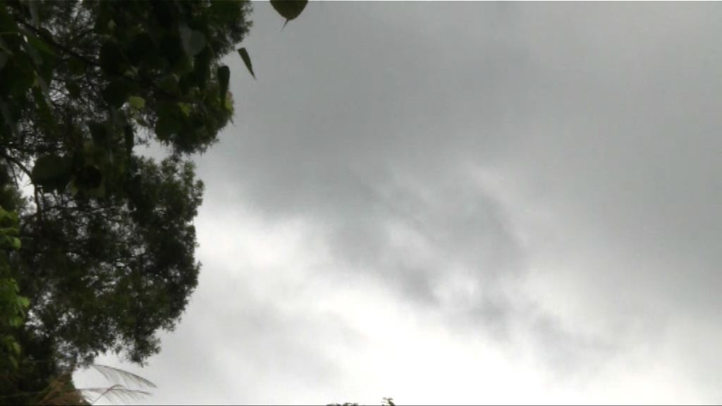 青年疑遭雷擊不治 天文台指雷電集中新界東部