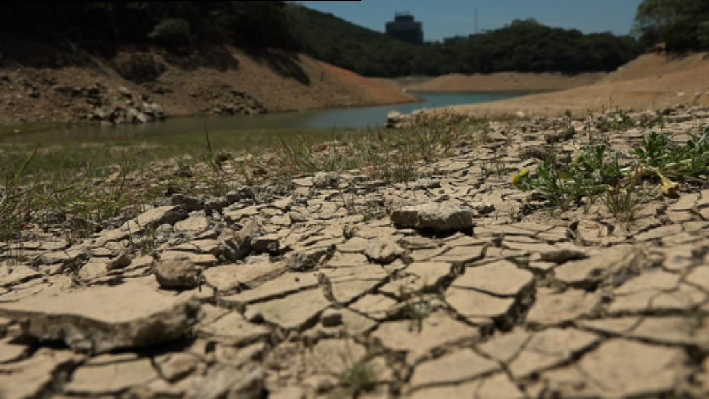 天氣持續酷熱　水塘總存水量跌10個百分點