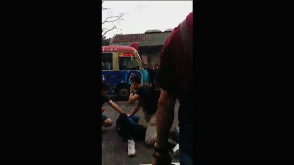 元朗扑頭劫案　非華裔男子被捕