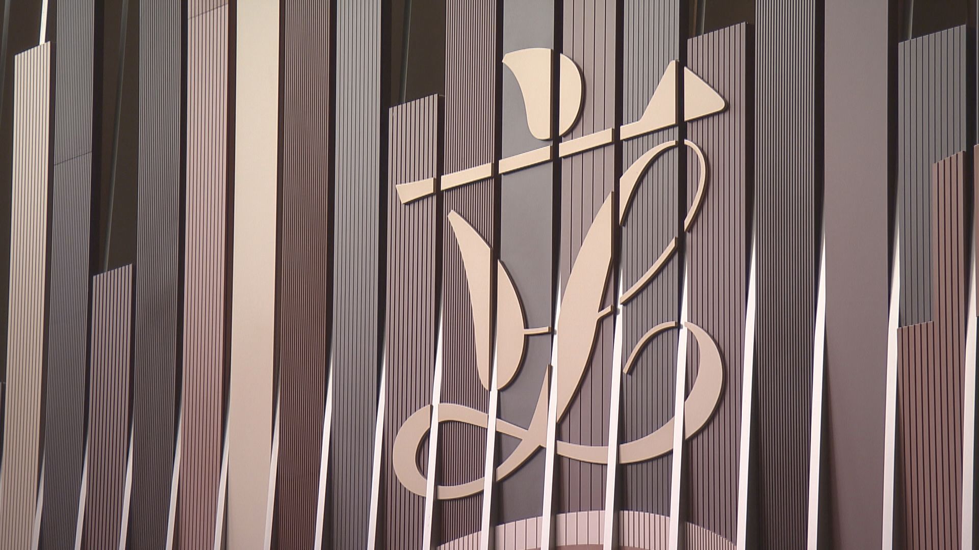 議事規則加辣諮詢　過半議員支持