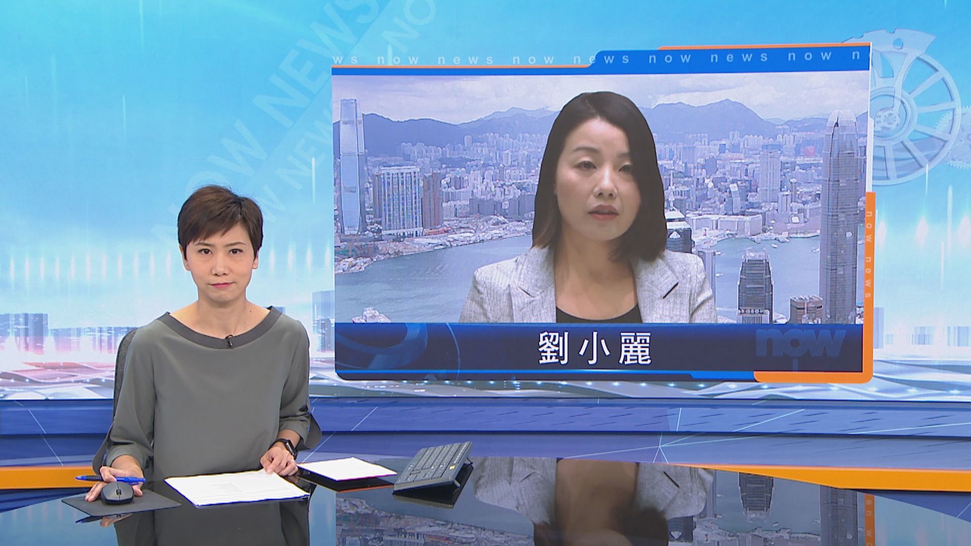 劉小麗：難理解如何經常表現擁護基本法