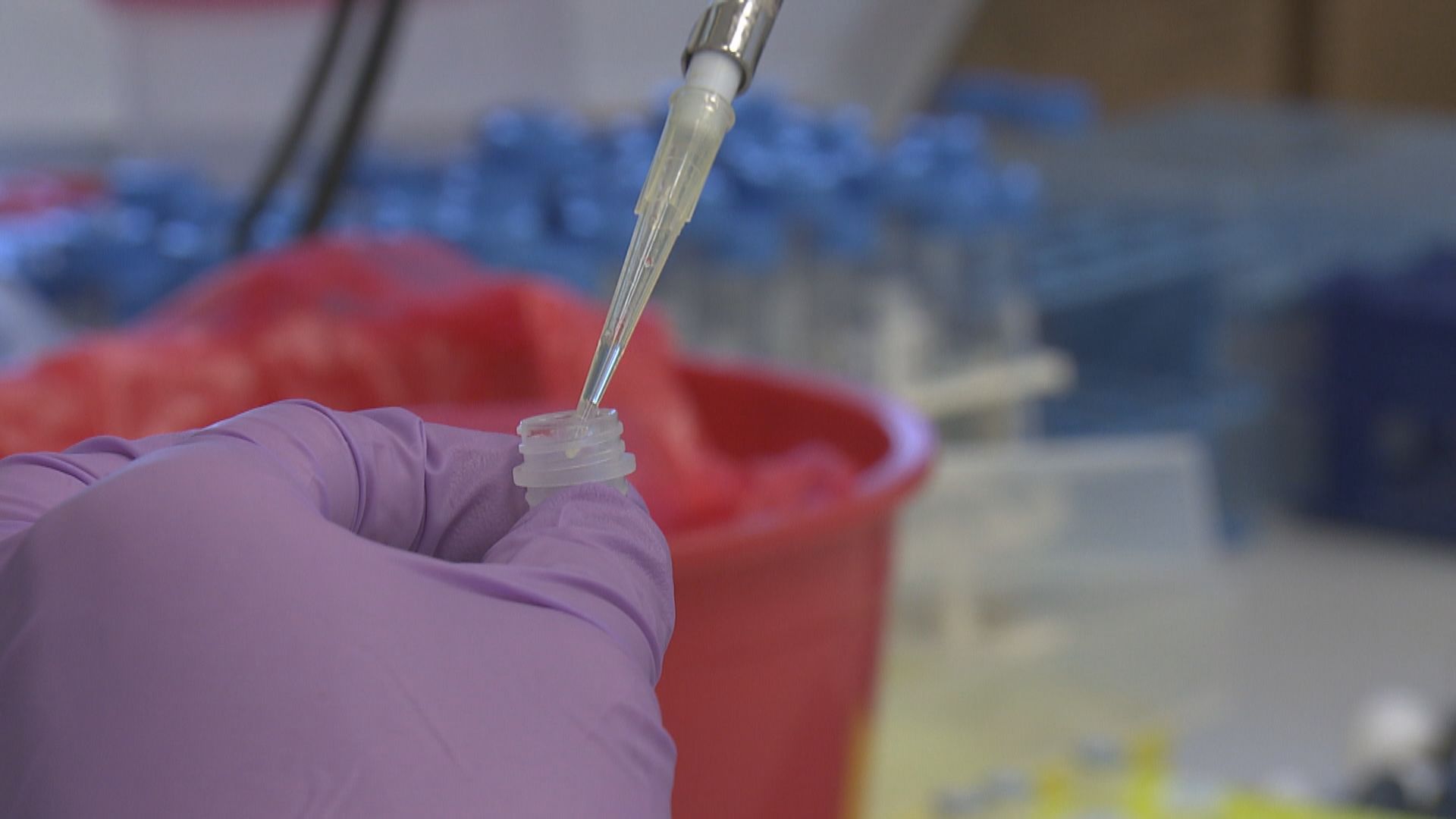 梁子超：本地大學地方和人手足夠　可協助進行篩檢加快