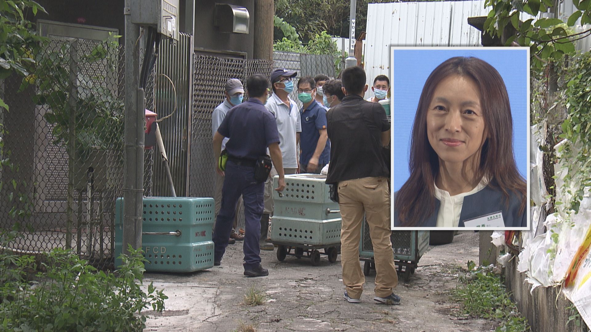 申訴專員指打擊虐畜欠成效　漁農署：被拒入屋個案屬少數