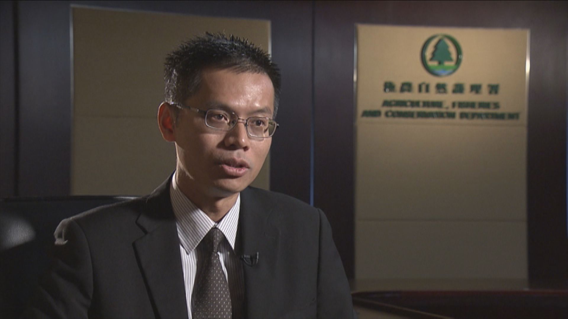 漁護署稱行動捕捉慣於市區活動野豬　被指誘捕屬混淆視聽