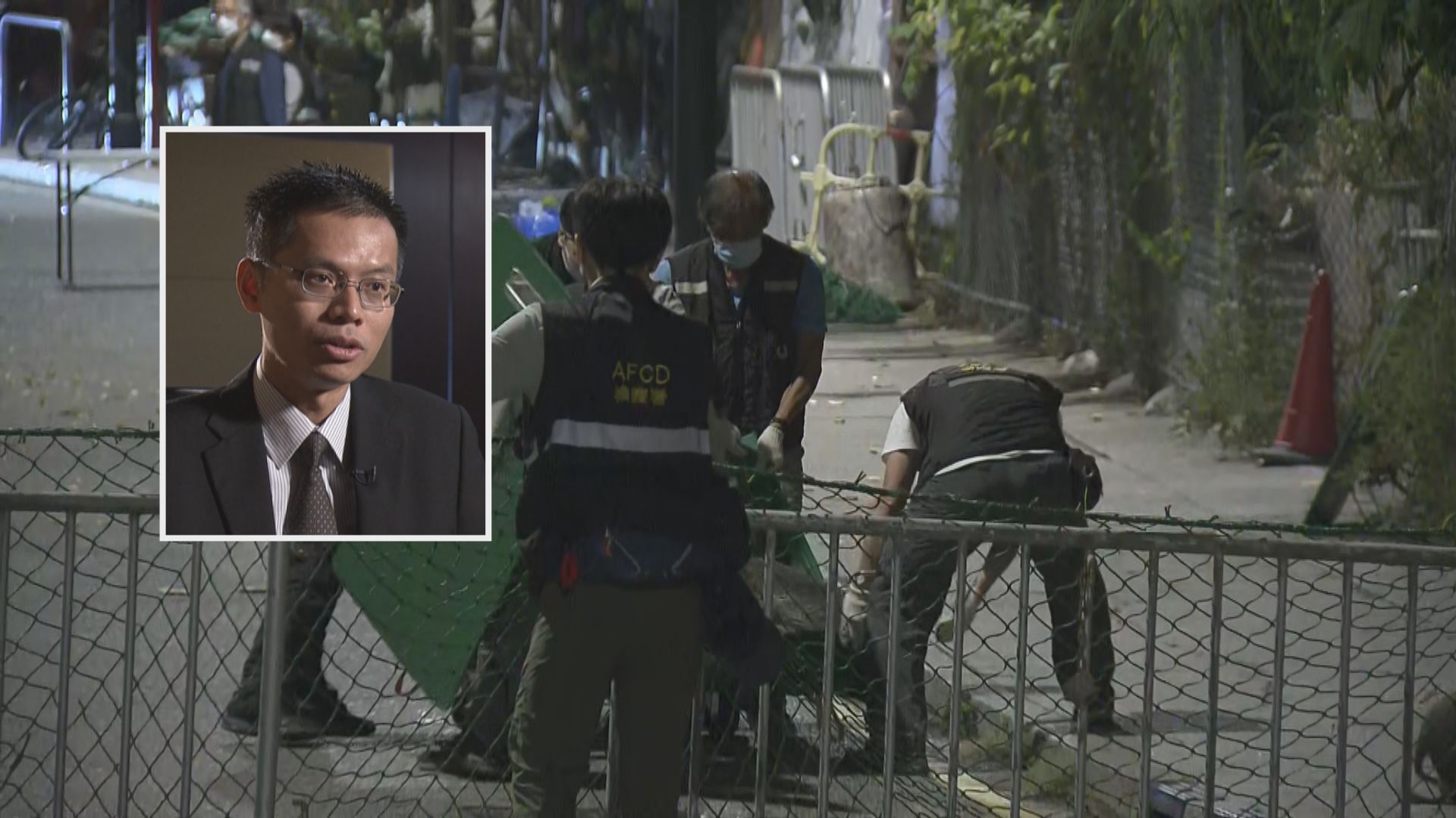 漁護署稱目標捕捉慣於市區覓食野豬　否認以食物誘捕