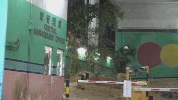 黑雨期間接獲20宗山泥傾瀉報告　土力處料未來一兩日可能仍有新個案