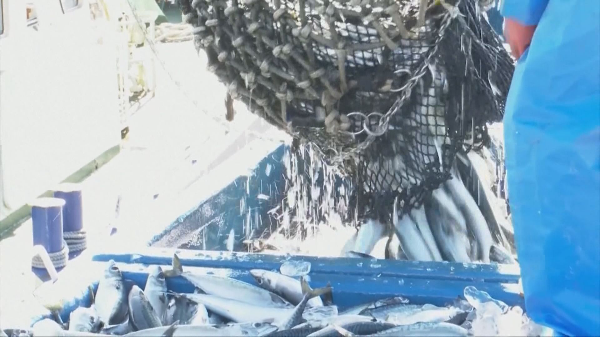 日本排核廢水將禁10縣水產進口 謝展寰：有追查機制防假冒來源地