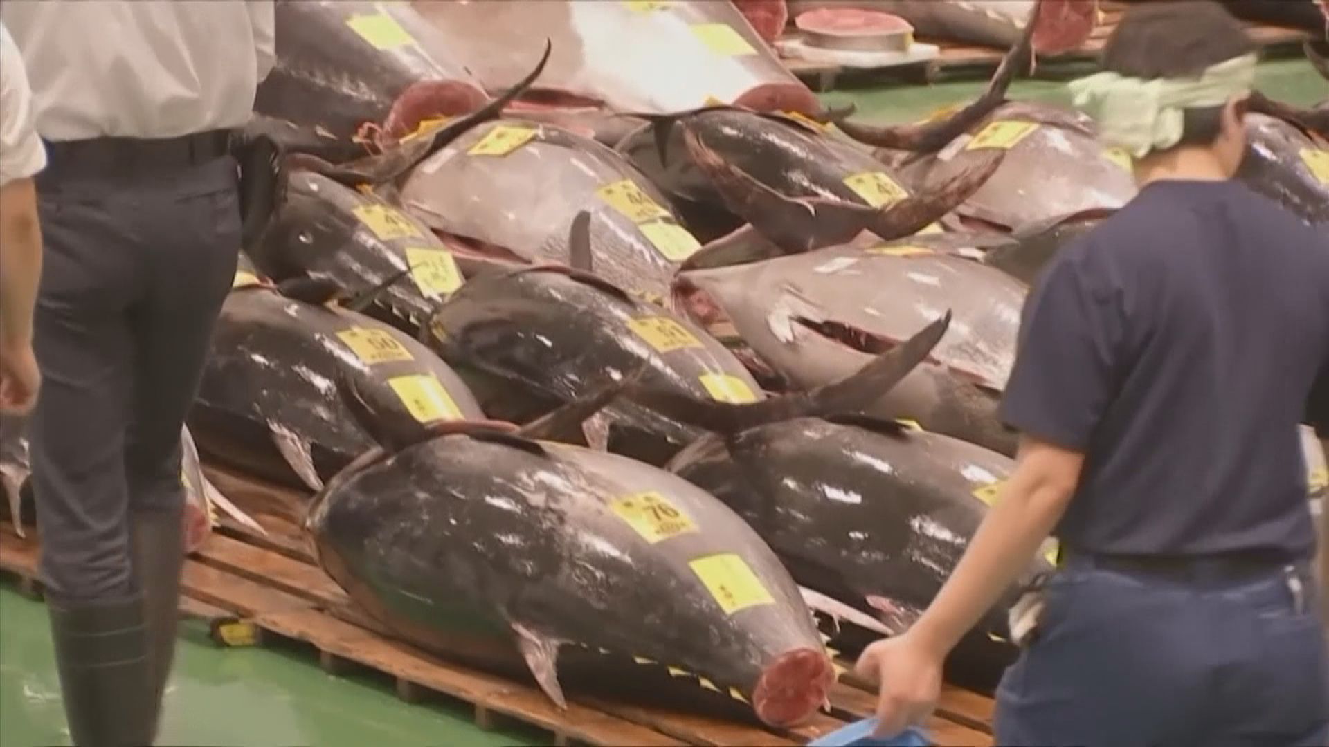 謝展寰：有機制防止來源地被假冒 確保受禁產品不被「改頭換面」