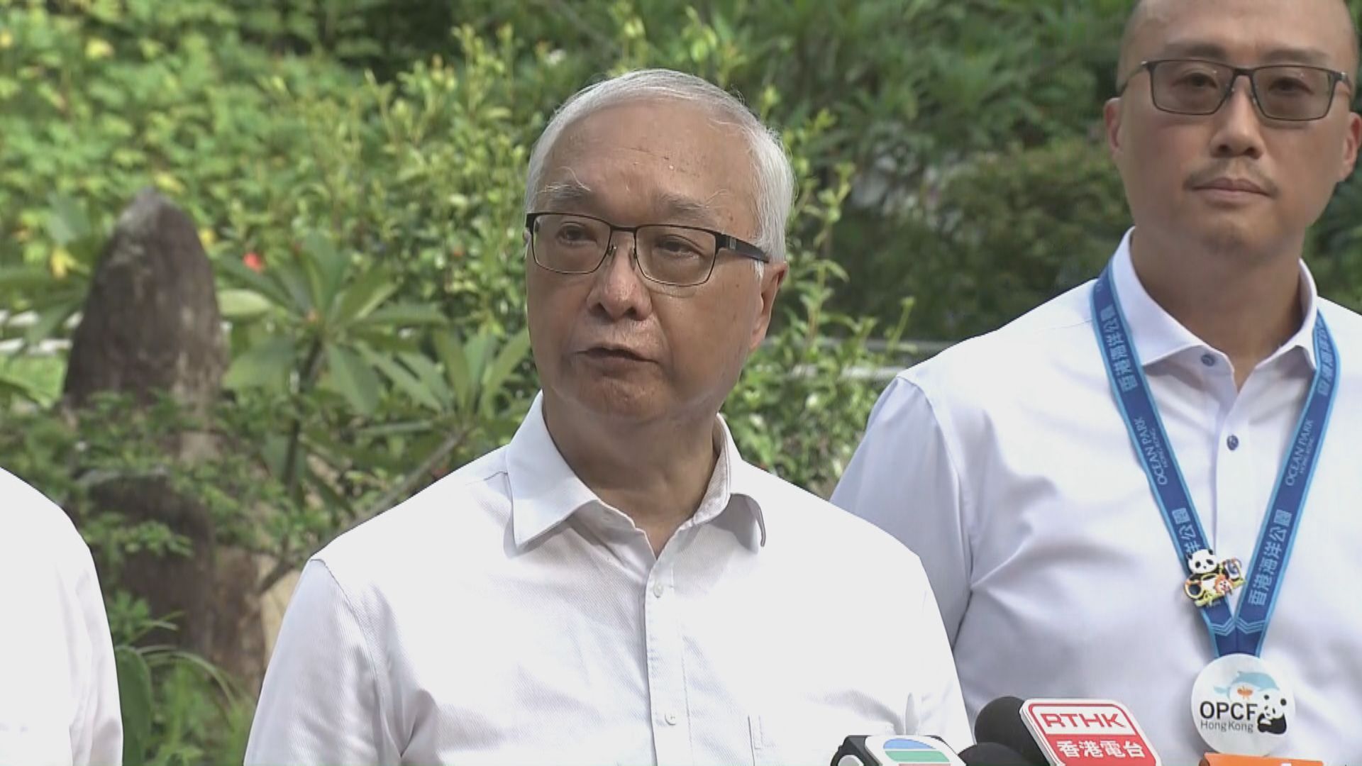 謝展寰：擬制定預案協調各部門 處理鯨魚誤闖港水域