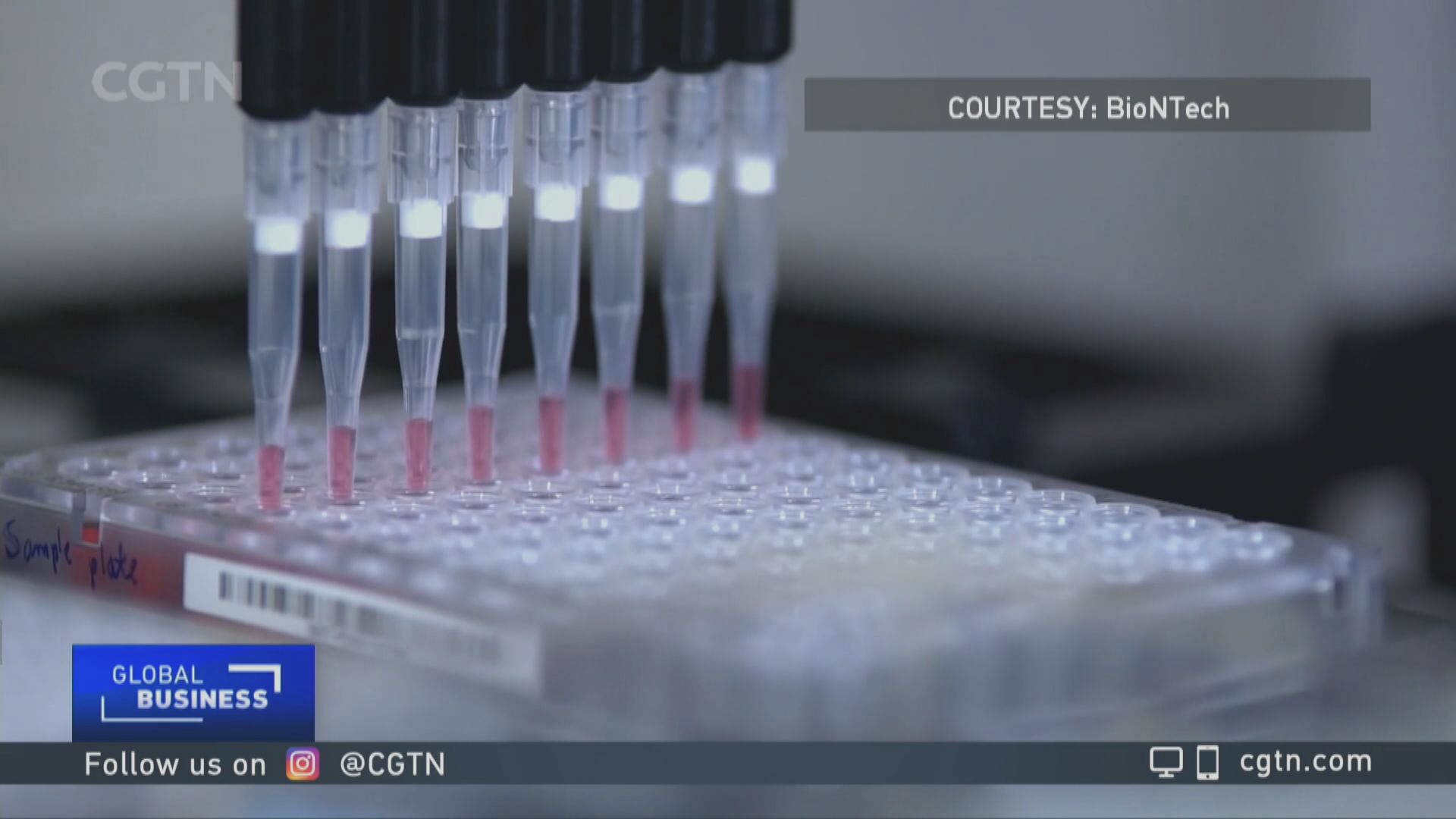 醫院藥劑師學會：新冠疫苗計劃可參考外國設賠償基金