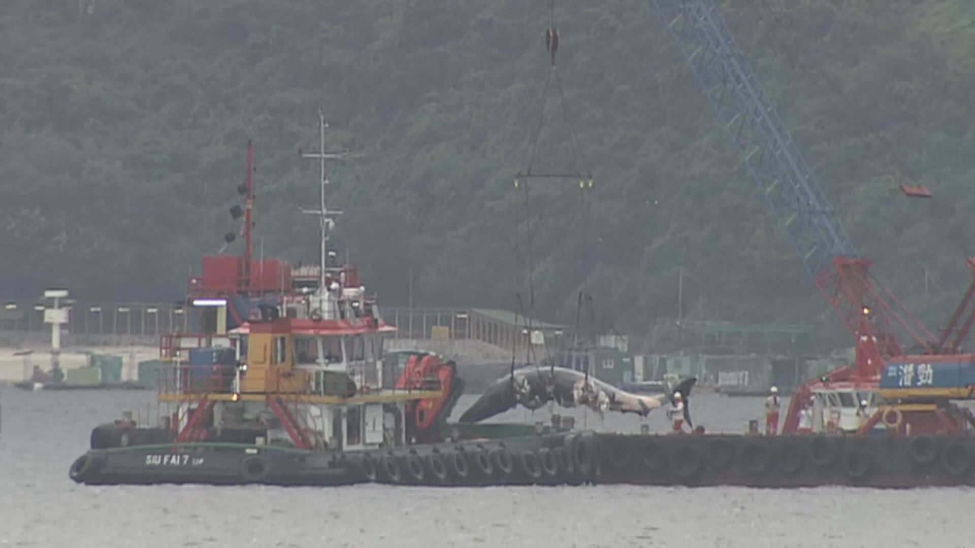 海洋公園：希望透過事件加強市民的保育意識