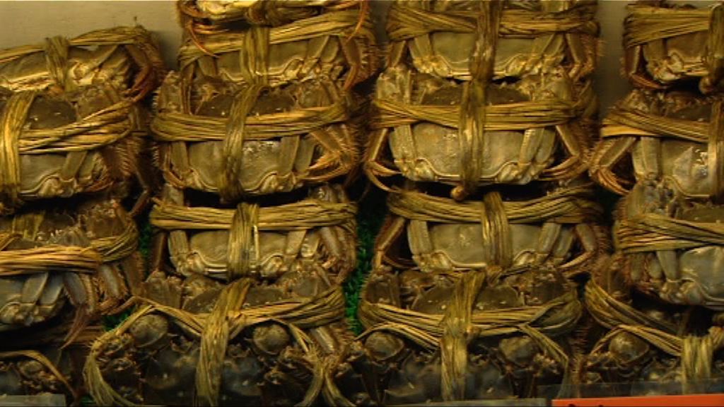 陳肇始：有機制確保大閘蟹安全才流出市面