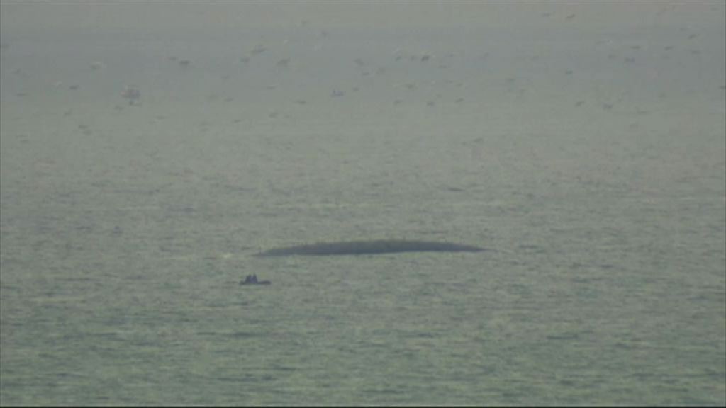 俄運輸部長改口稱空難非恐襲造成