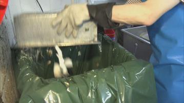 垃圾徵費先行先試計劃展開 參與酒樓指考慮人手等、暫時不會回收廚餘