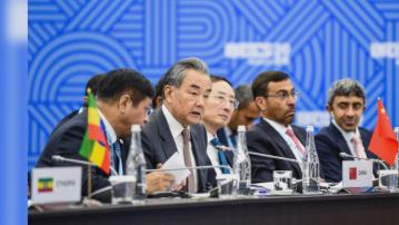王毅出席金磚國家外長會議