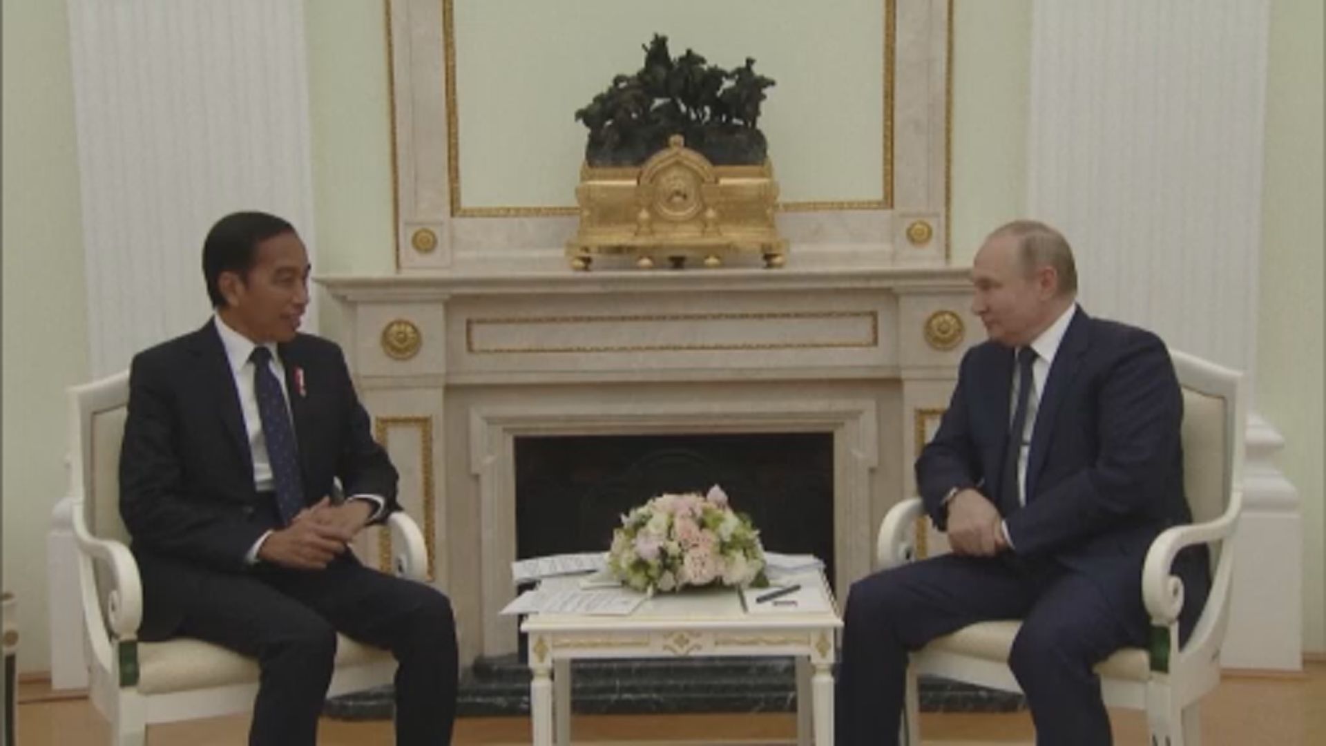 普京與佐科維多多會談　討論糧食供應議題