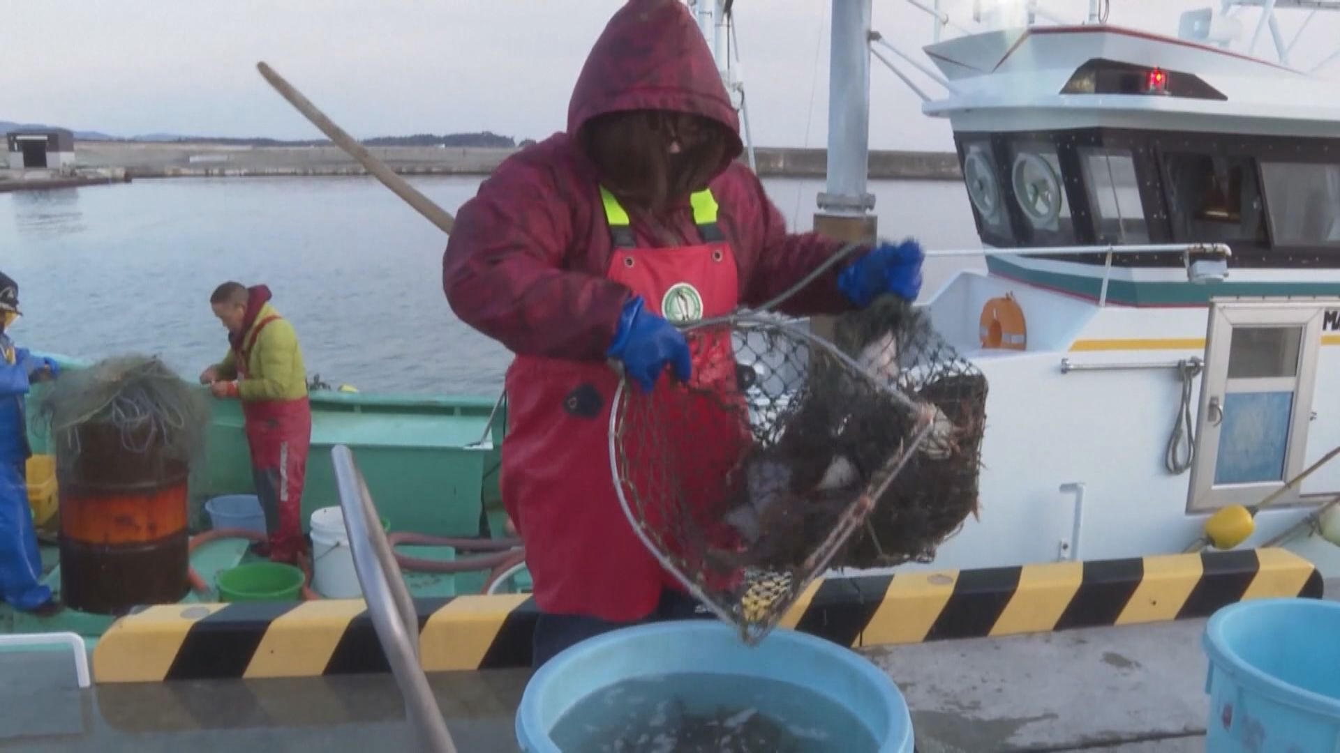 俄羅斯宣布禁止日本水產品進口
