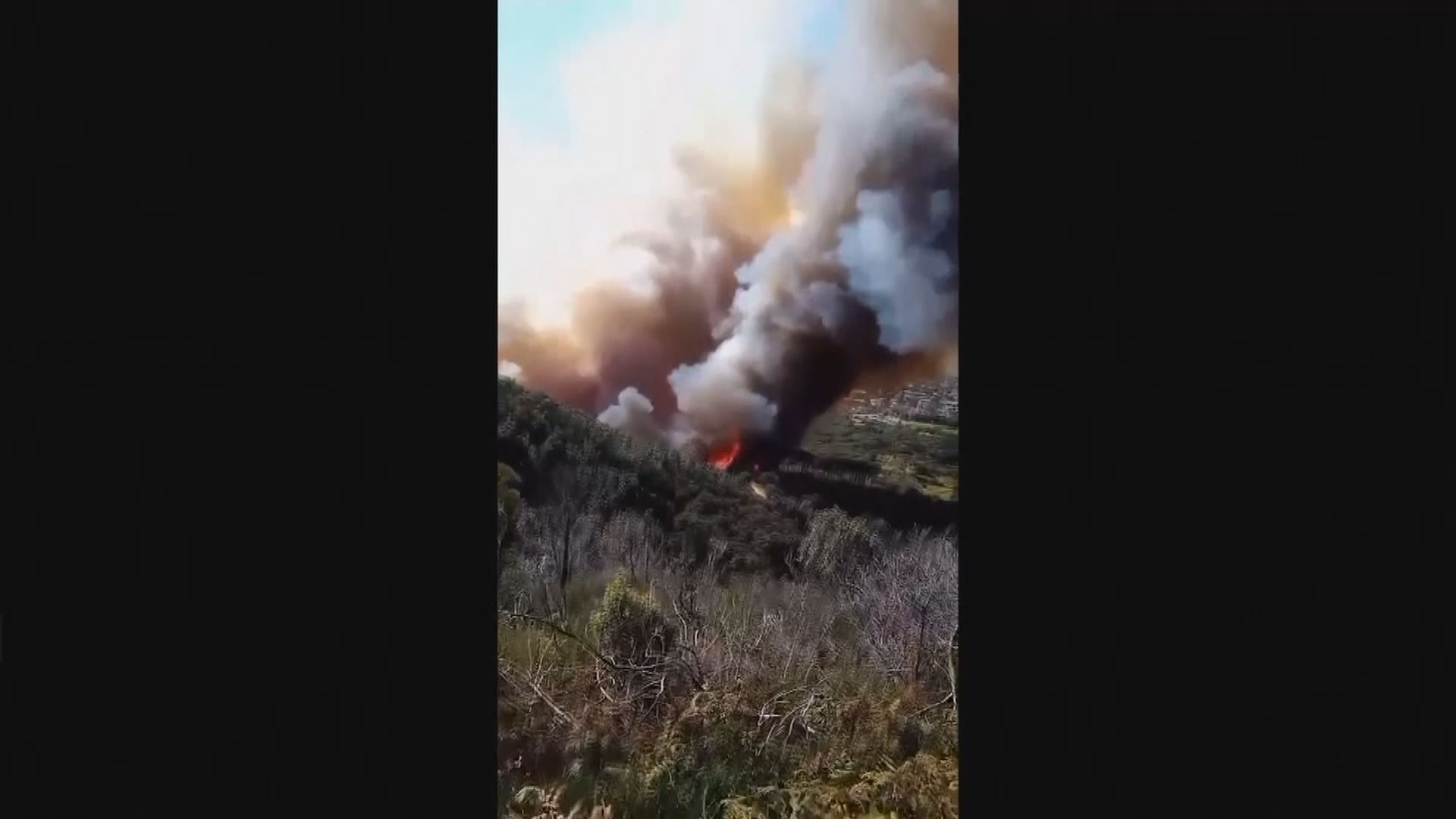 南非開普敦桌山國家公園發生山火