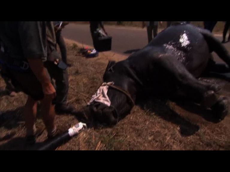 南非國家公園採用新裝備對付獵人