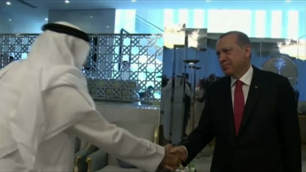 土總統訪中東國家斡旋斷交風波