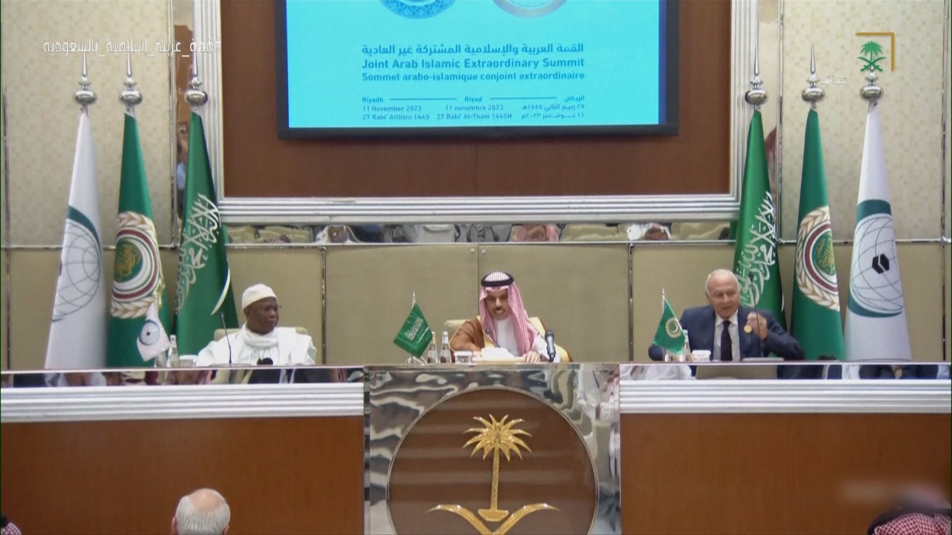 阿拉伯及伊斯蘭多國聯合譴責以色列不人道屠殺巴人