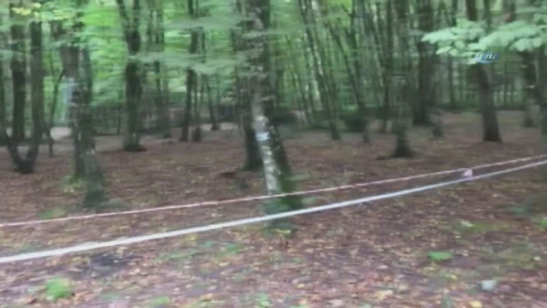 土耳其調查人員找尋卡舒吉棄屍地點