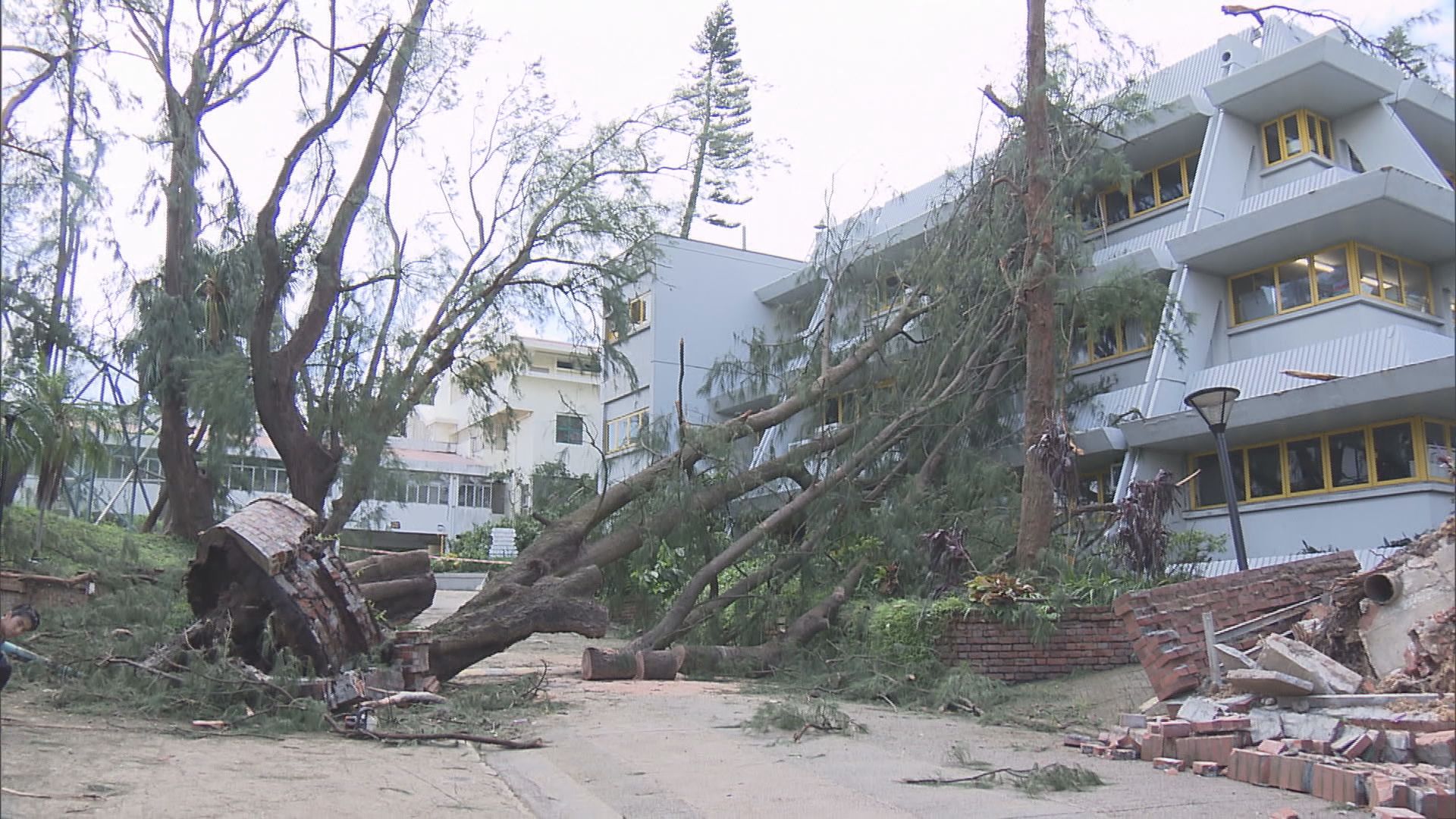 教育局局長楊潤雄：學校復課大致暢順