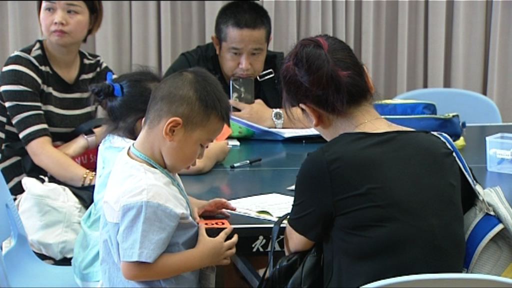 料龍年效應令小一學位競爭更激烈