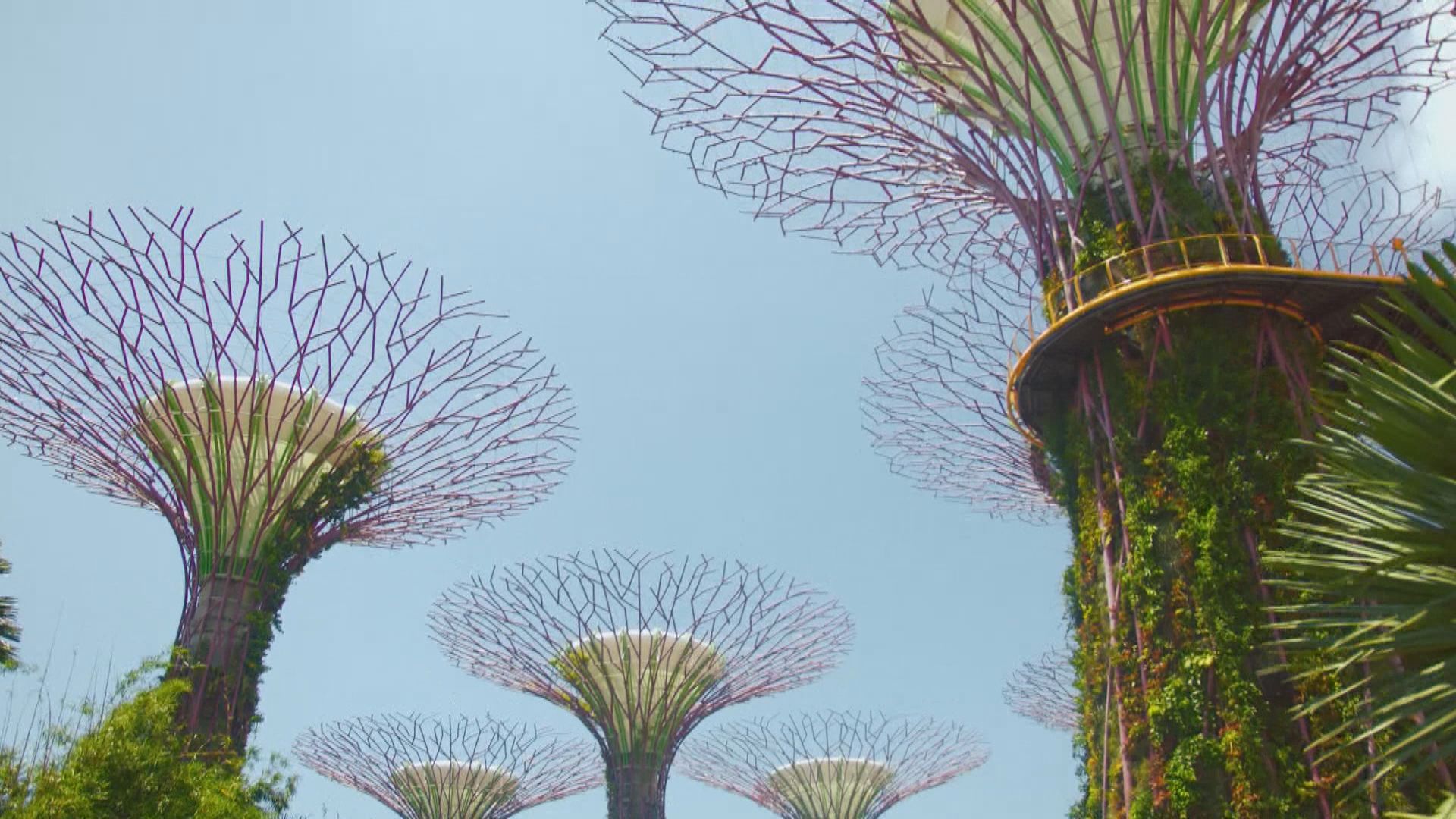 據報新加坡因應本港疫情正研旅遊氣泡會否如期實施