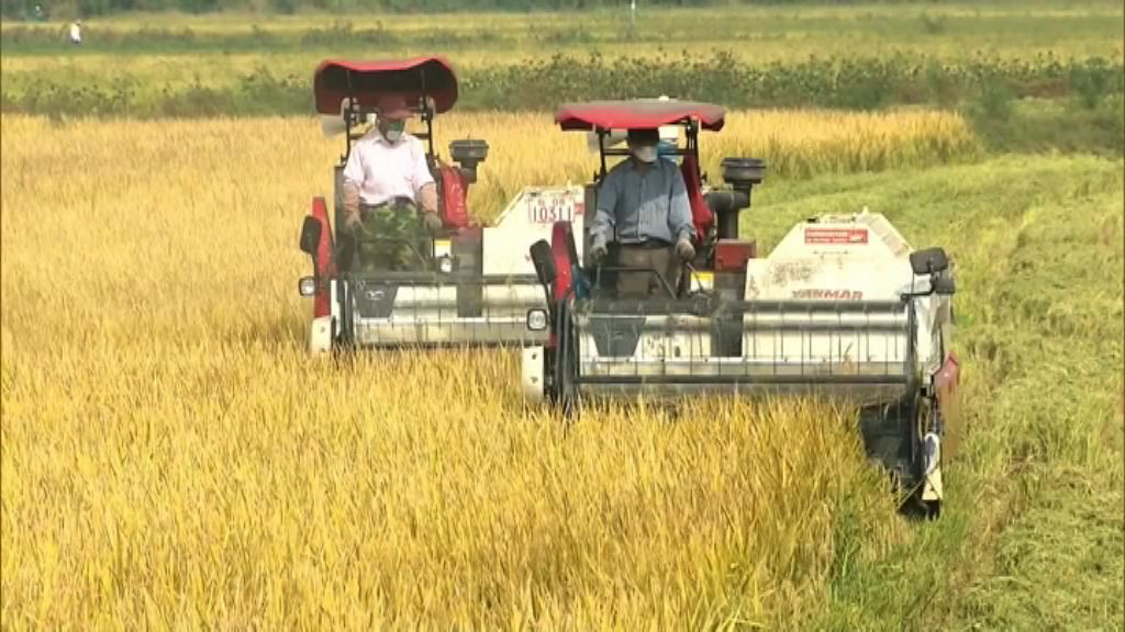 【用無人機？】搞農村電商物流要有「智」慧